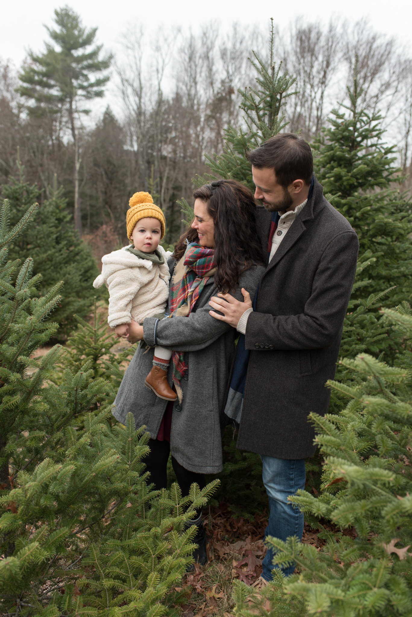 Father and mother looking at young daughter on Christmas tree farm