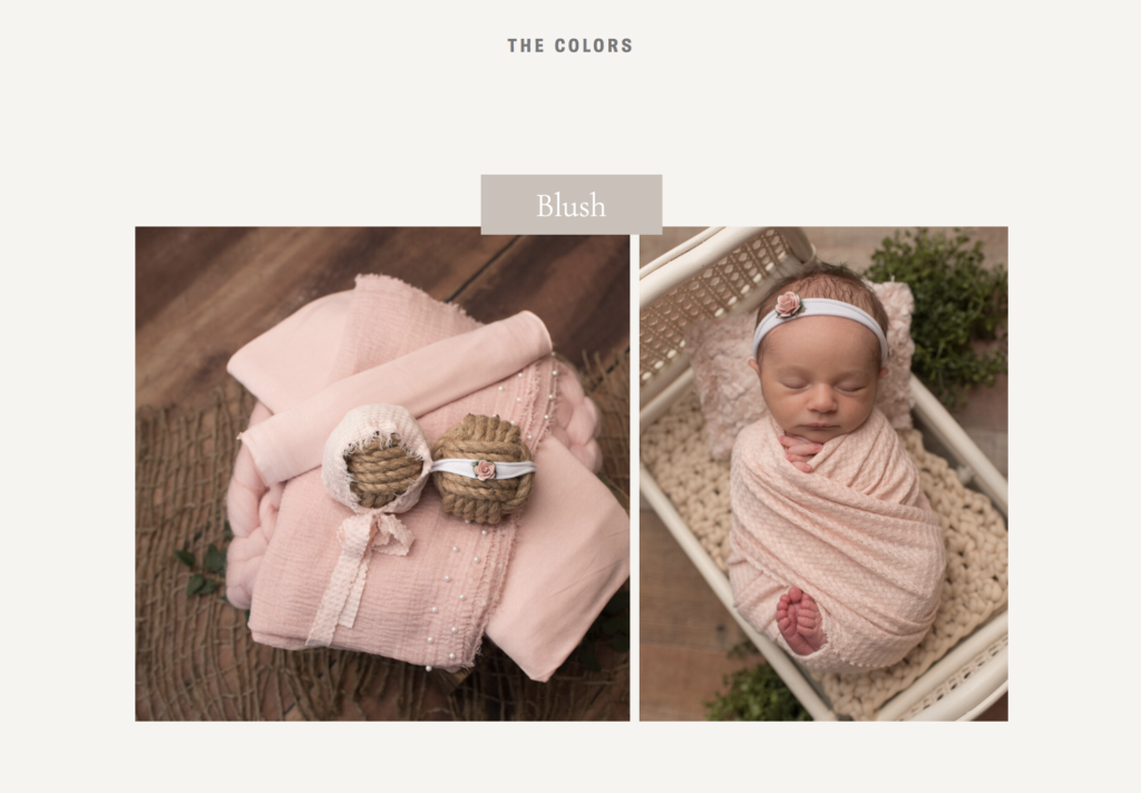 Menu of color options for newborn session