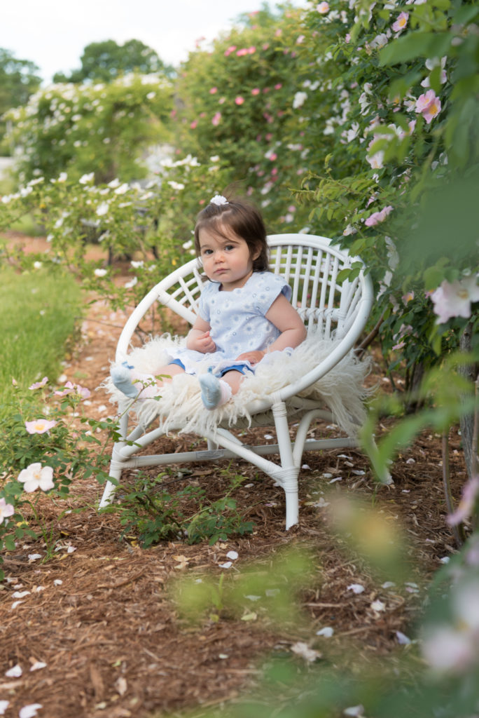 CT Spring Mini Sessions || Sharon Leger Photography 