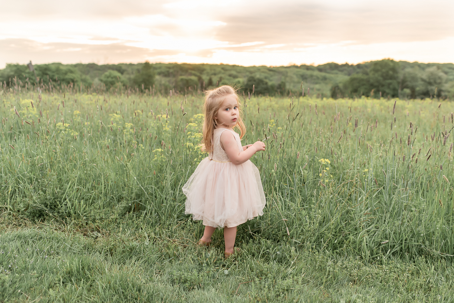 Young girl standing in field at sunset