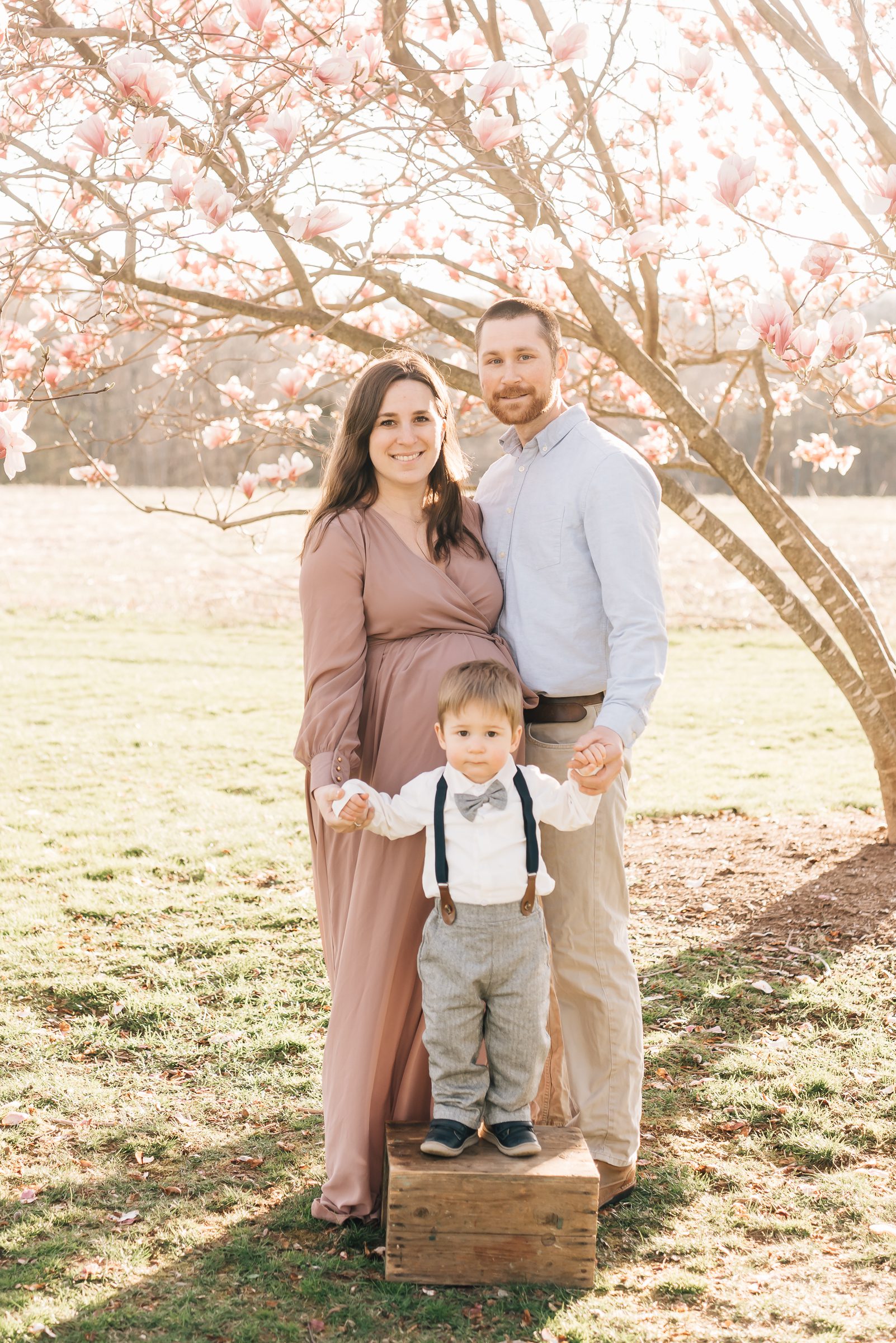 Picture is of a pregnant mom with her husband and son, during her spring blossom maternity session in West Hartford, Connecticut