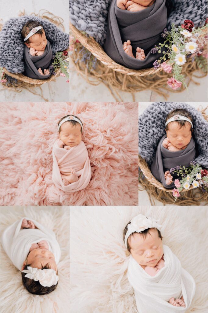 CT Spring Studio Newborn Portraits | CT Newborn Photographer