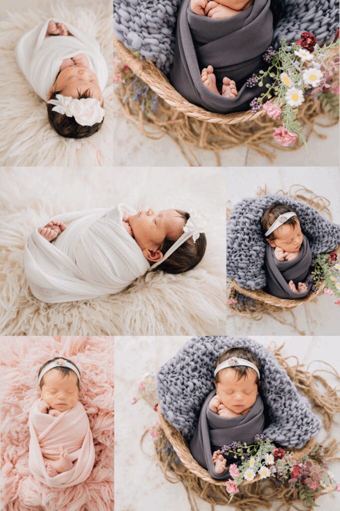 CT Spring Studio Newborn Portraits | CT Newborn Photographer