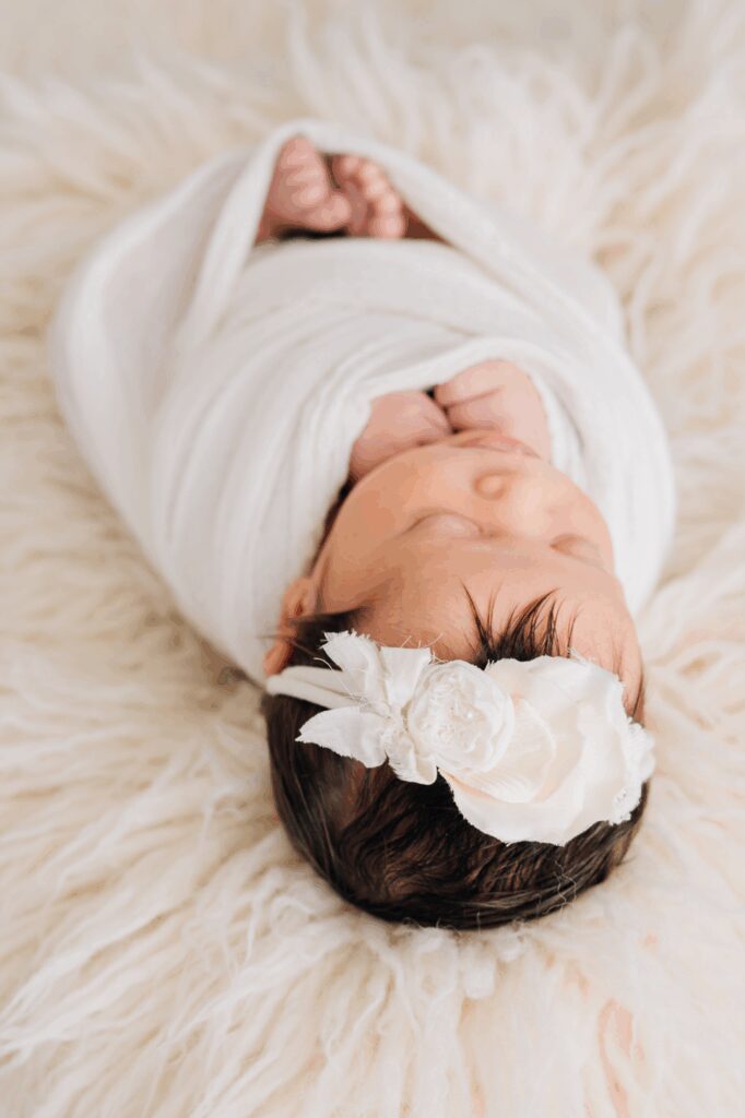 CT Spring Studio Newborn Portraits | CT Newborn Photographer