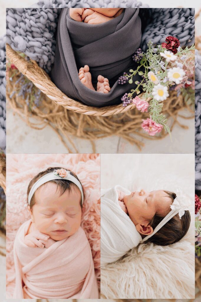 CT Spring Studio Newborn Portraits | CT Newborn Photographer