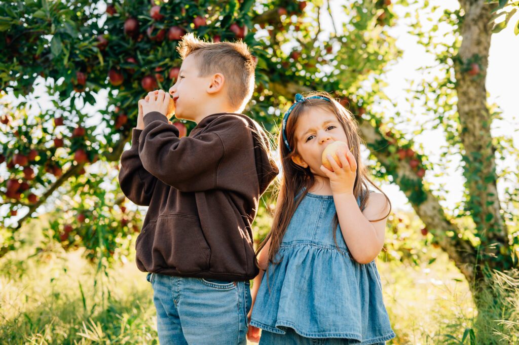 Fall Apple Orchard Mini Session 2026 | Canton CT Family Photographer